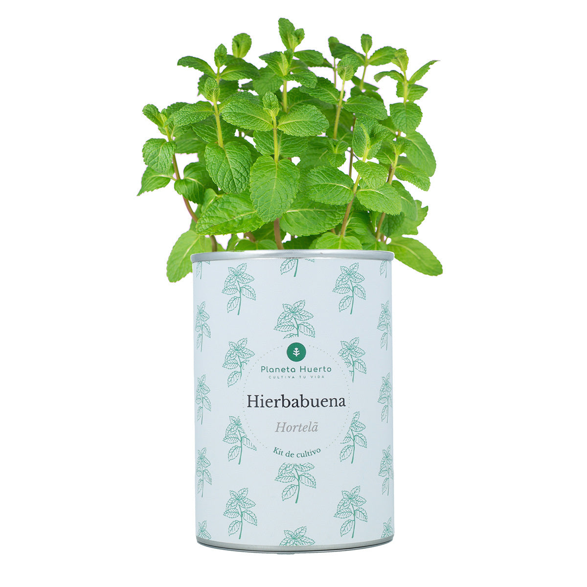 Kit per la coltivazione aromatica Pacco Pettorale Planeta Huerto