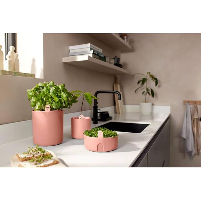 Germinator Magic Microgreens Elho Terra