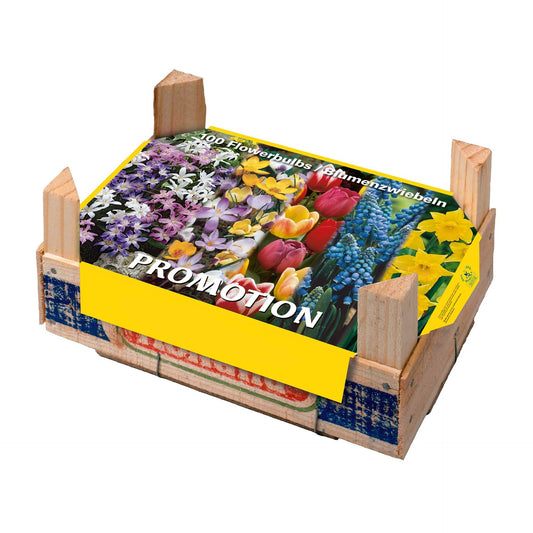 Autumn Bulb Tray Mix Box 100 pcs