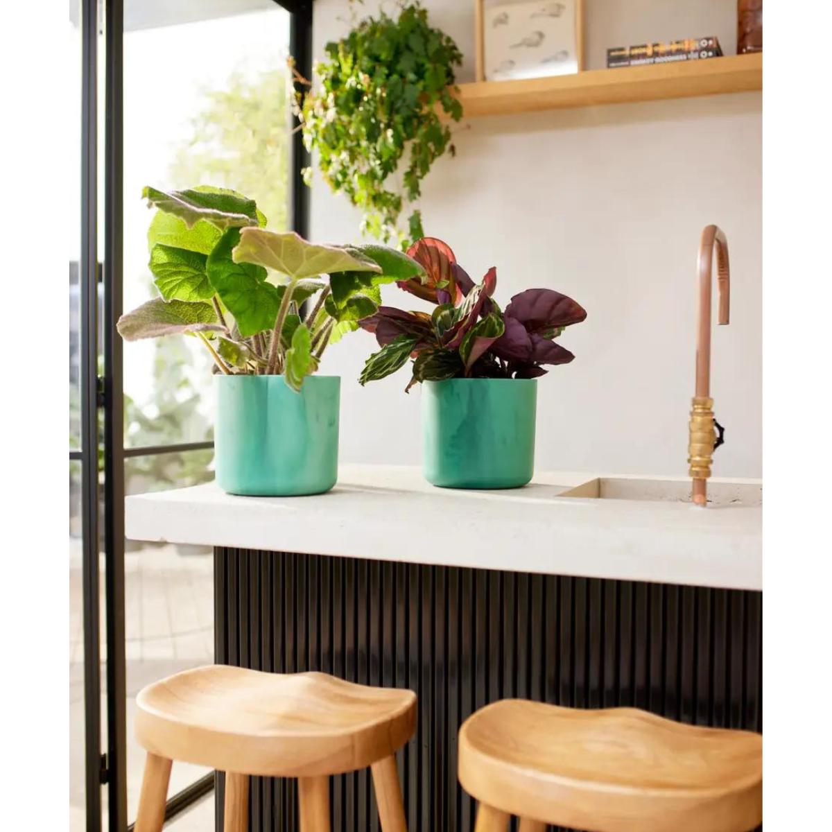 Fioriera riciclata Ocean Round Elho verde pacifico 18 cm