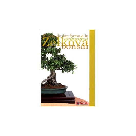 Guida Zelkova Bonsai