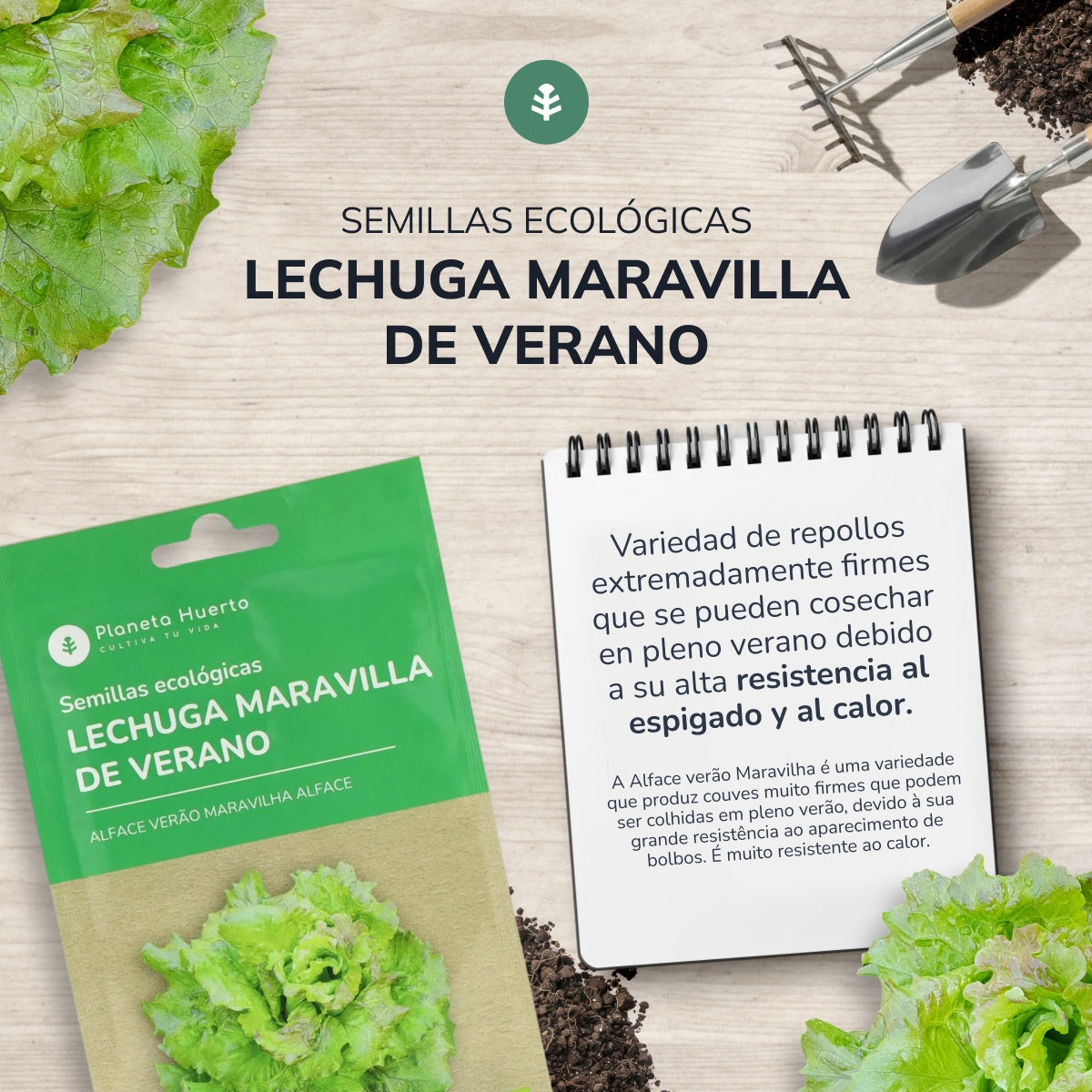 Bio-Saatgut des Sommer-Wundersalats Planeta Huerto