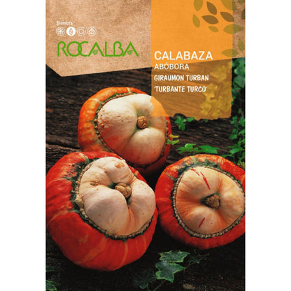 Nasiona dyni giraumont turban „turecka turban”