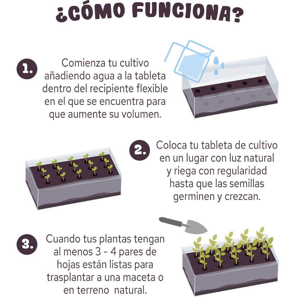 Tablette pour cultiver des fraises rouges, cadeau idéal, Garden Pocket