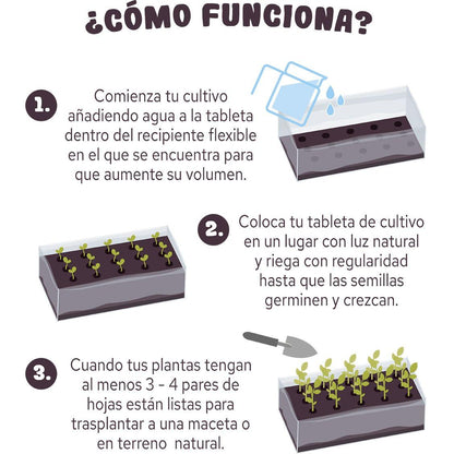 Tablette pour cultiver des fraises rouges, cadeau idéal, Garden Pocket