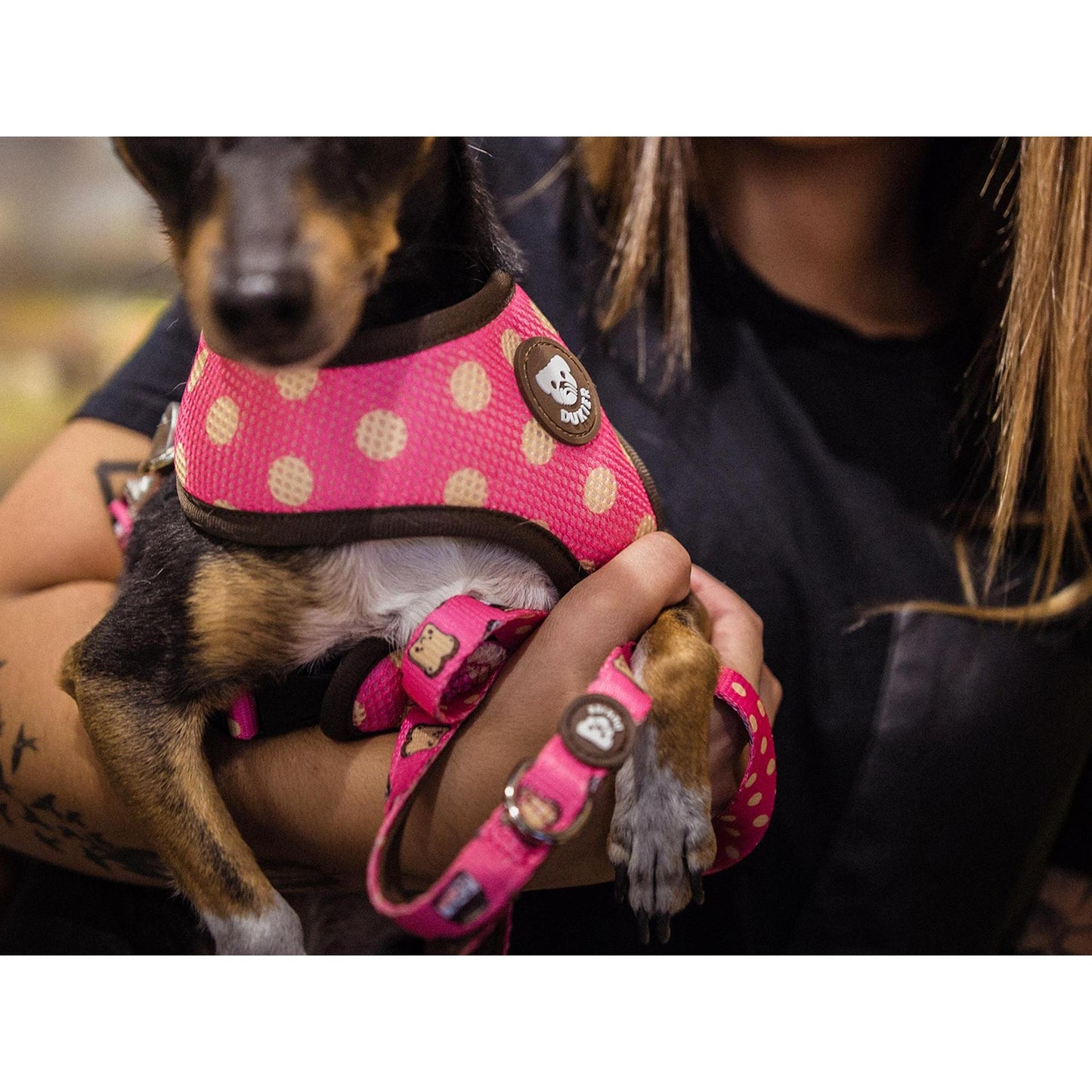 Odwracalna uprząż dla psa DOGTELLA Dukier L