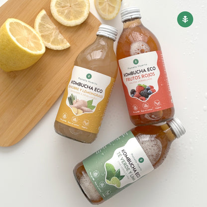 Pack 12x Kombucha ECO Jengibre y lemongrass Planeta Huerto 330 ml