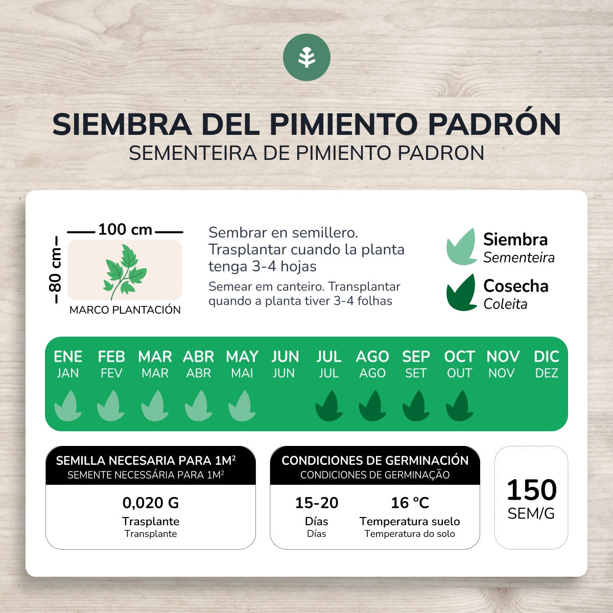 Biologische zaden van Padron peper Planeta Huerto