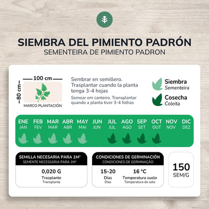 Biologische zaden van Padron peper Planeta Huerto