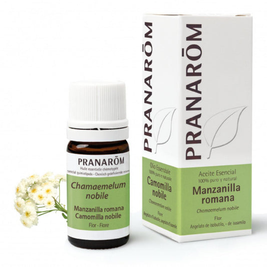 Olio essenziale di camomilla romana, Pranarôm 5 ml